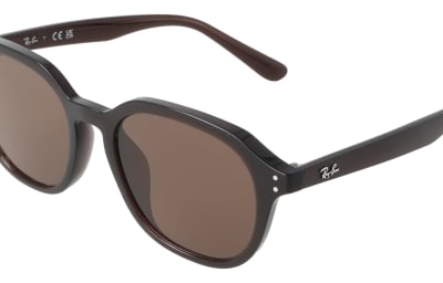 Ray-Ban RB4459D