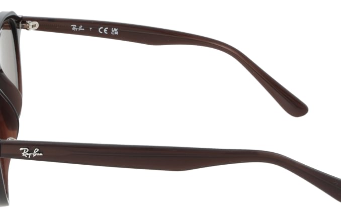 Ray-Ban RB4459D