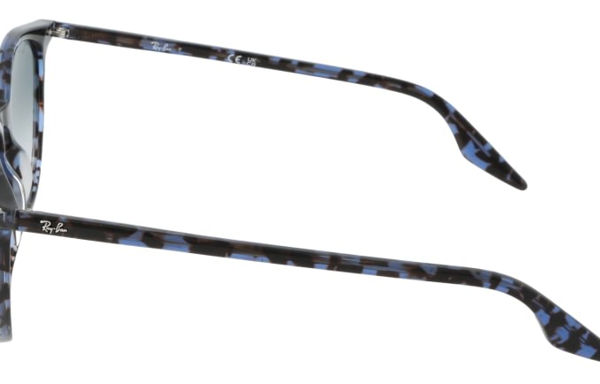 Dolce&Gabbana RB2204