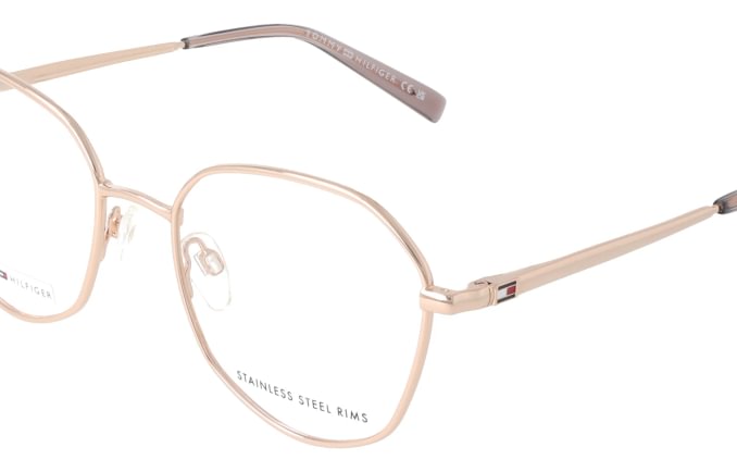 Tommy Hilfiger TH2221