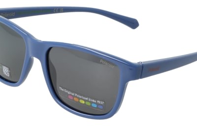 Polaroid PLD8067