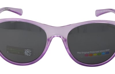 Polaroid PLD8066