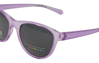 Polaroid PLD8066