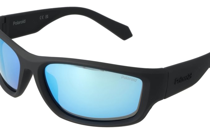 Polaroid PLD2166