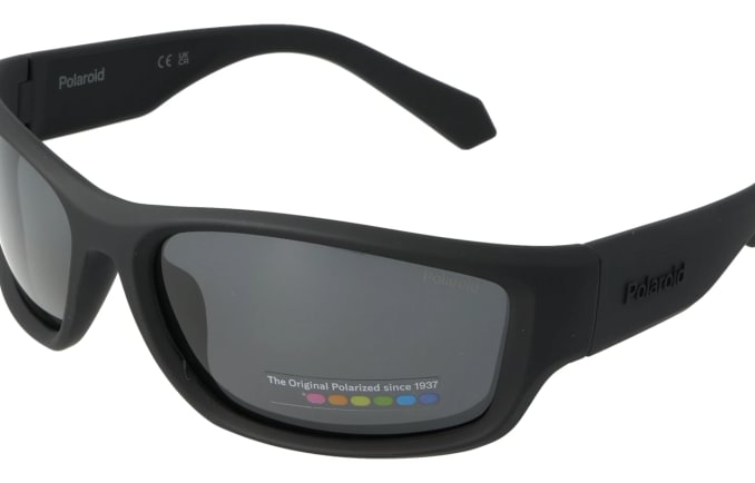Polaroid PLD2166