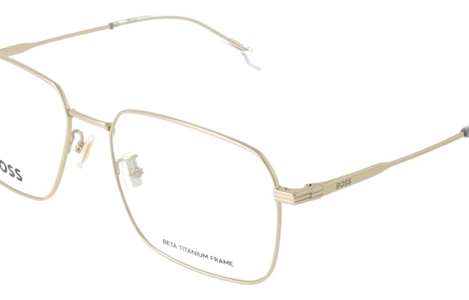 Hugo Boss BOSS1772