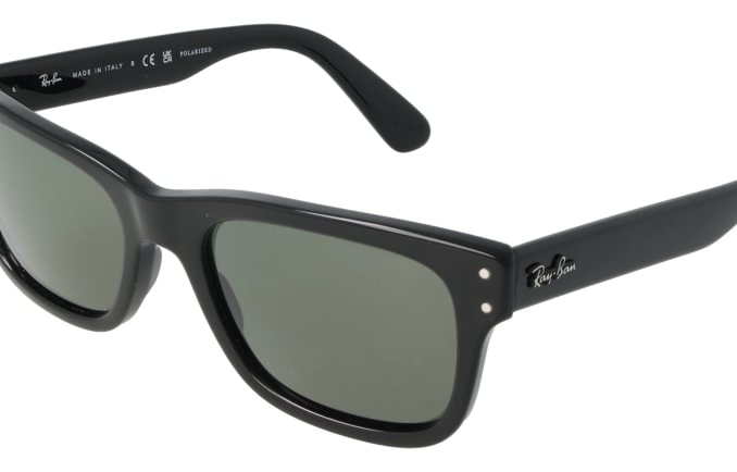 Ray-Ban RB2283