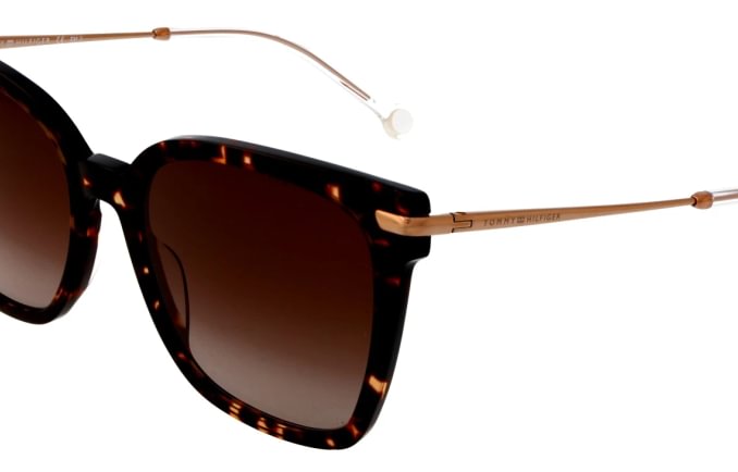 Tommy Hilfiger TH1880