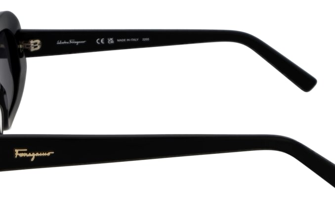 Salvatore Ferragamo SF1046S