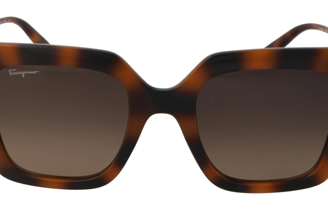 Salvatore Ferragamo SF1041S