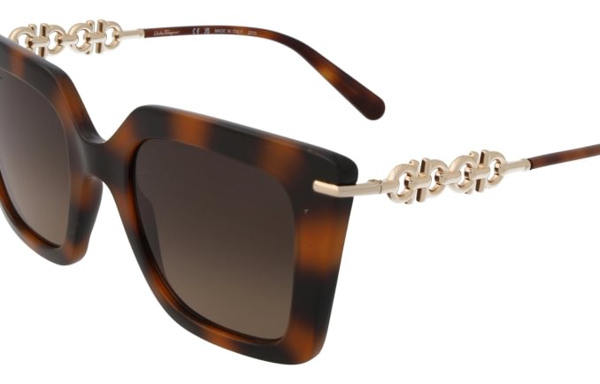 Salvatore Ferragamo SF1041S