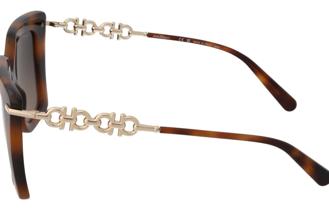 Salvatore Ferragamo SF1041S