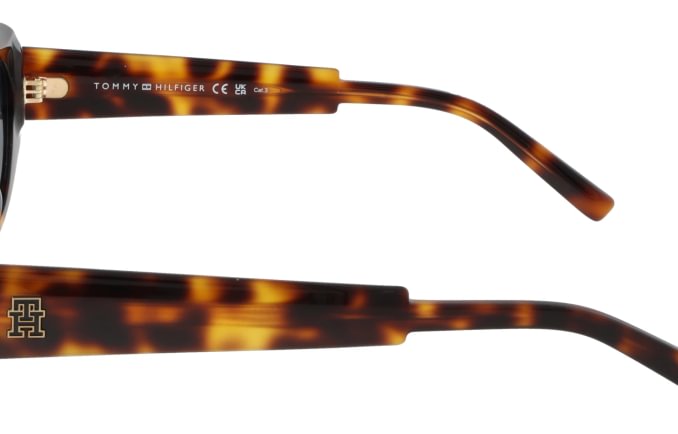 Tommy Hilfiger TH2207