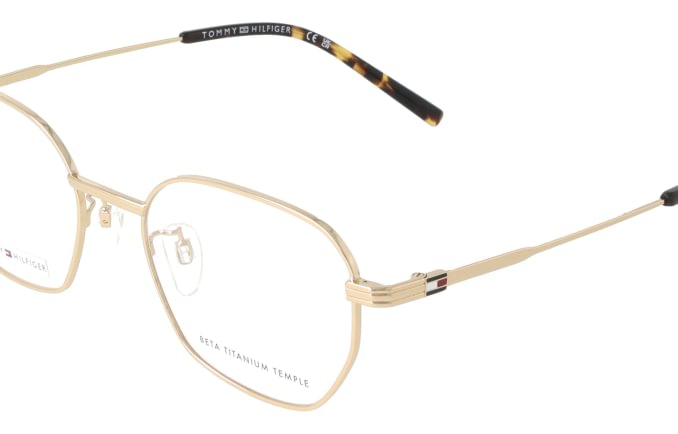 Tommy Hilfiger TH2300