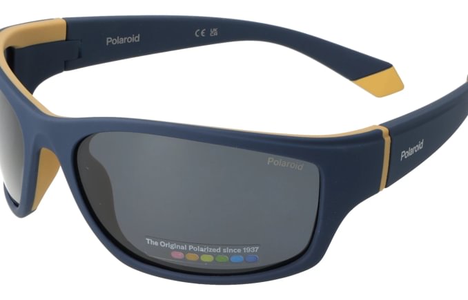 Polaroid PLD2135
