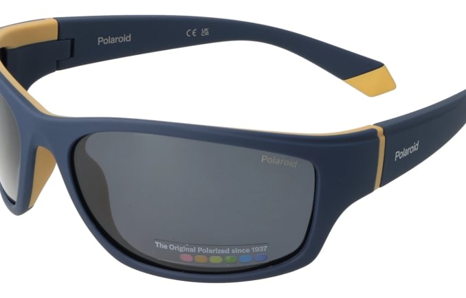Polaroid PLD2135