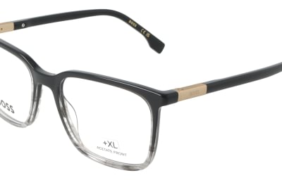 Hugo Boss BOSS1833