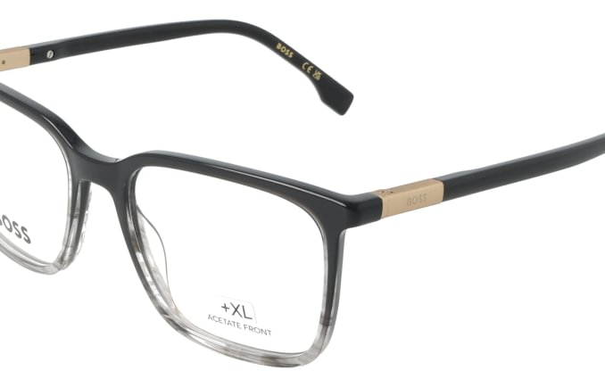 Hugo Boss BOSS1833