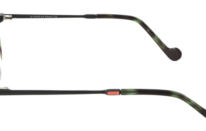 Eyewear Blueb E9218