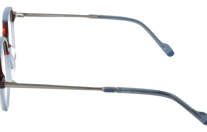 Eyewear Blueb E9217