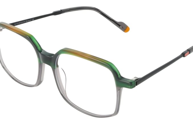 Eyewear Blueb E9217