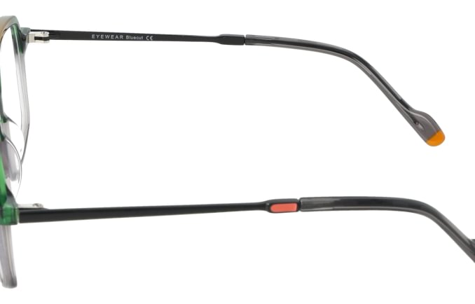 Eyewear Blueb E9217