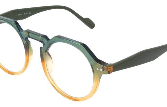 Eyewear Blueb E9213