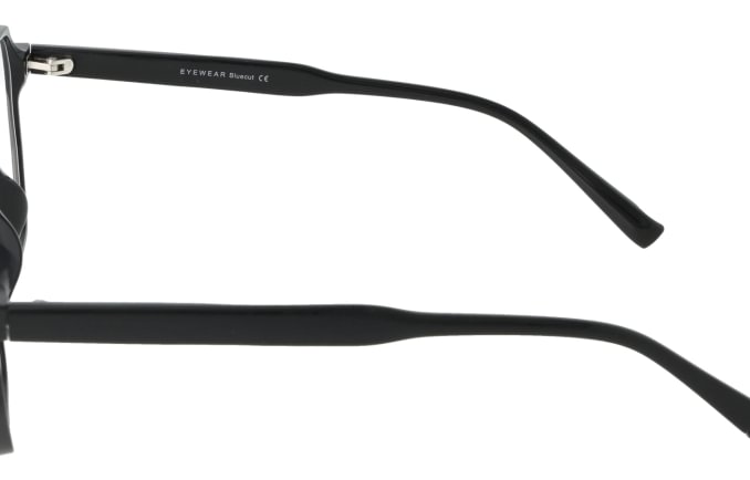 Eyewear Blueb E9211