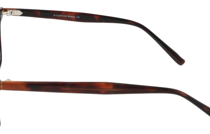 Eyewear Blueb E9210