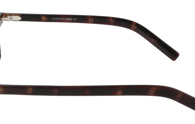 Eyewear Blueb E9208