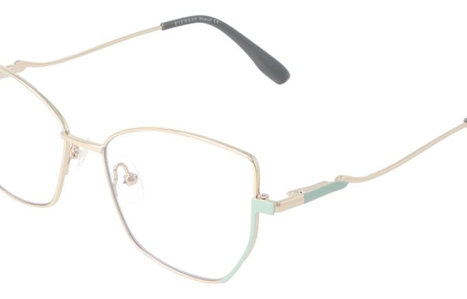 Eyewear Blueb E9221