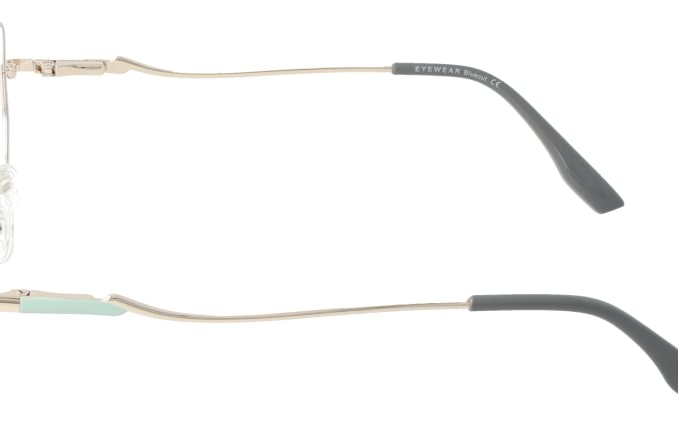 Eyewear Blueb E9221