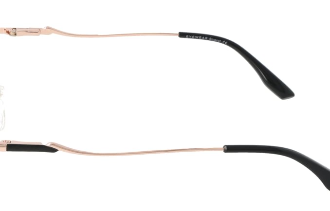 Eyewear Blueb E9221